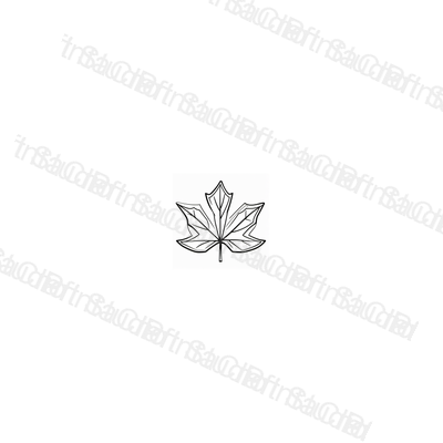 Preview 10